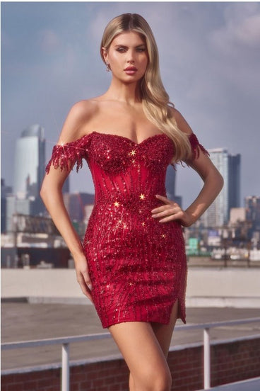 chinese dress ladies LOOK EXPENSIVE LONG SLEEVE EMBELLISHED MINI DRESS – AKIRA main image 1